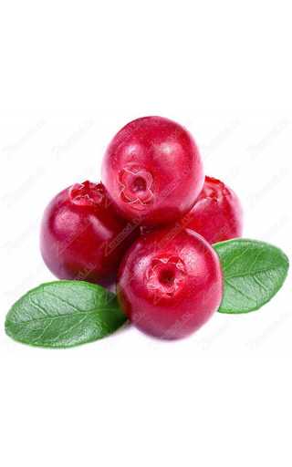 TPA - Cranberry 10мл