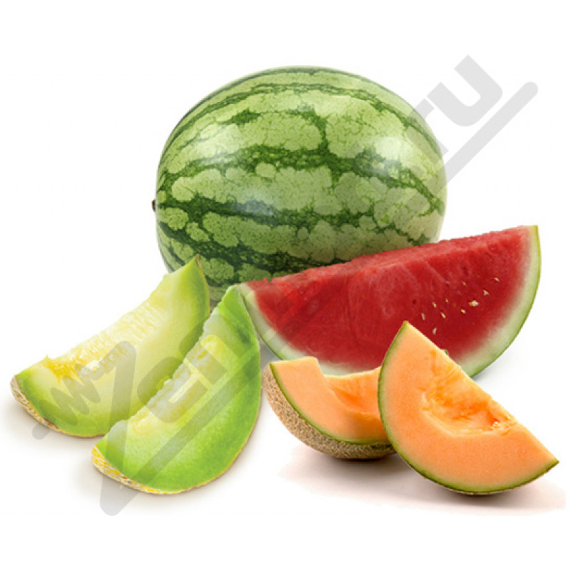 Фото и внешний вид — Gooddrip - Foggy Melon 10мл