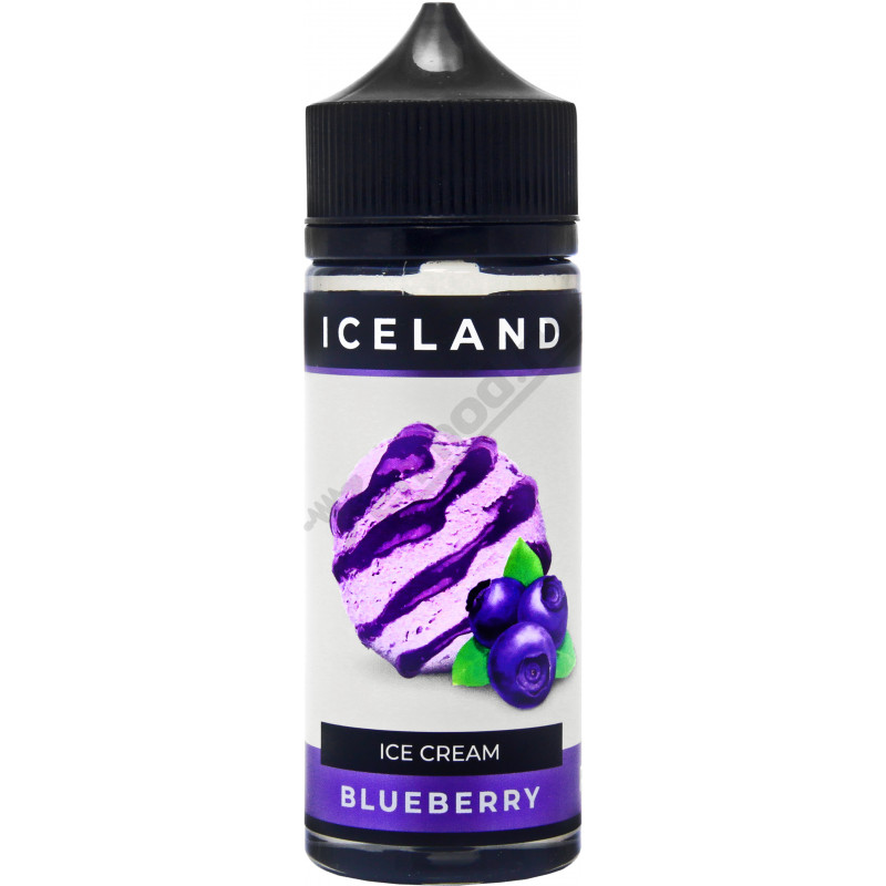 Фото и внешний вид — ICELAND - Blueberry 120мл