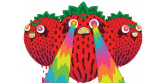 Rainbow Fruits