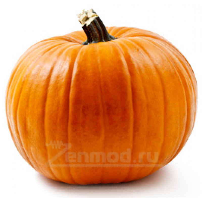 Фото и внешний вид — TPA - Pumpkin 10мл