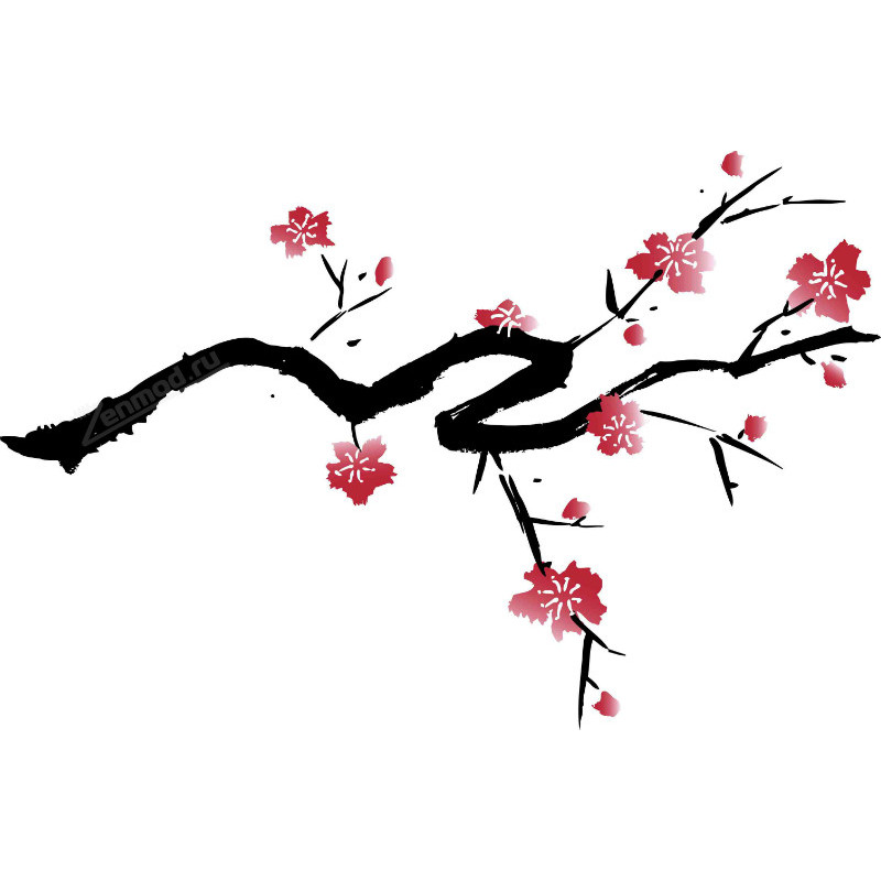 Фото и внешний вид — TPA - Cherry Blossom 10мл