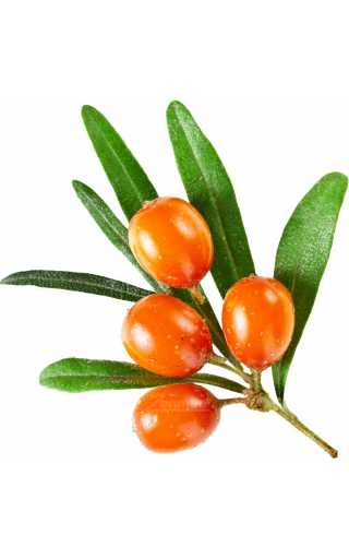 TPA - Sea Buckthorn 10мл