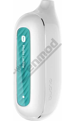 PLONQ MAX 6000 - Мохито Личи